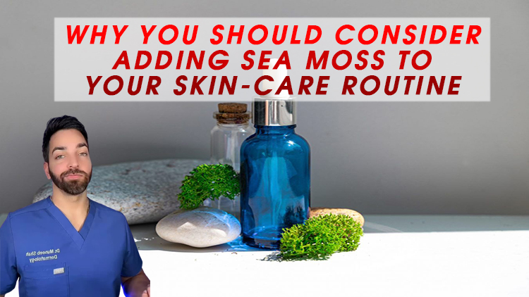 Why You Should Consider Adding Sea Moss to Your Skin-Care Routine Why You Should Consider Adding Sea Moss to Your Skin-Care Routine