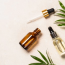 Ferulic Acid in Skincare: Benefits, Uses, and How It Protects Your Skin